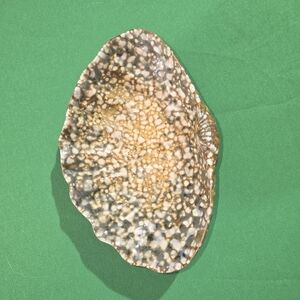 Elegant Speckled Ceramic Bowl